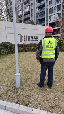 都市森林